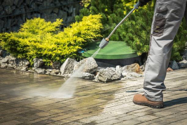 Best Spring Cleaning  in Lake Arbor, MD